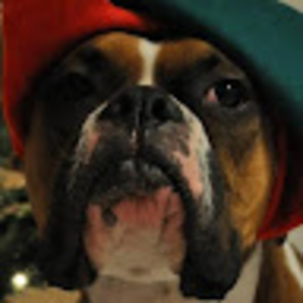 Meet your Posher, Waldo